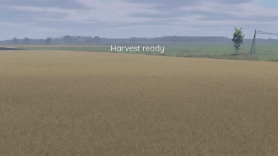 Better canola texture v1.0.0.0