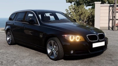BMW E91 (WG) v1.0 0.38.x