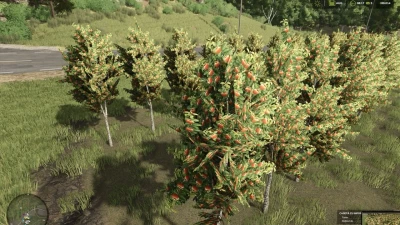 Hutan Pantai Real Orchards - Multifruit v1.0.0.0