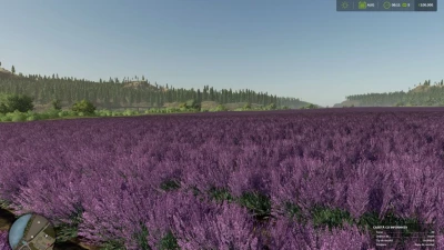Silverrun Forest Multifruit Edition v1.2.0.0