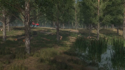 Staby Forest v1.0.0.0