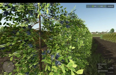 Zielonka Real Orchards Multifruit v1.3.0.0
