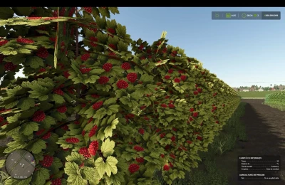 Zielonka Real Orchards Multifruit v1.3.0.0