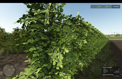 Zielonka Real Orchards Multifruit v1.3.0.0