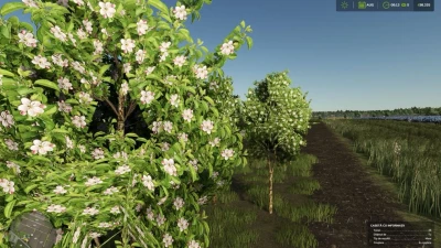 Zielonka Real Orchards Multifruit v1.3.0.0