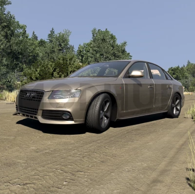 Audi A4/S4 B8 Update v1.8 0.39.x