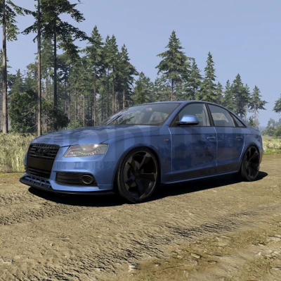 Audi A4/S4 B8 Update v1.8 0.39.x