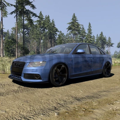 Audi A4/S4 B8 v1.9 0.40.x