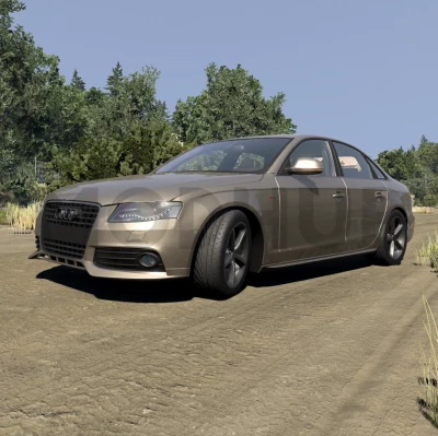 Audi A4/S4 B8 v1.9 0.40.x