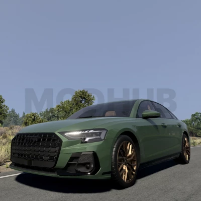 Audi A8/S8 D5 v1.0 Fix 0.39.x