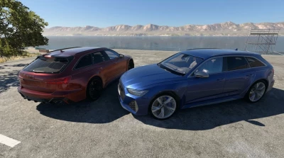 Audi RS6 C8 v1.4 0.40.x