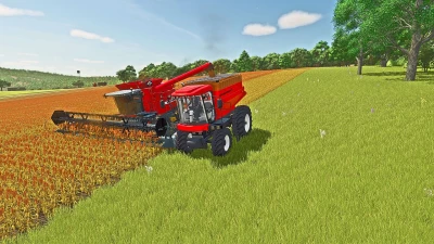 Auto Propelido TM240 v1.0.0.0