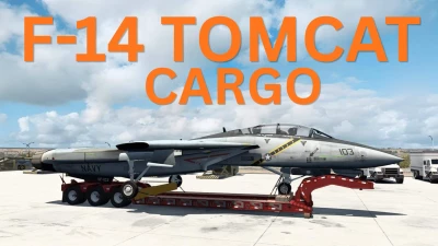 F-14 Tomcat Cargo