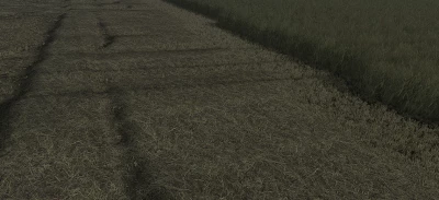 Gras Texture v1.0.0.0