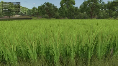 Grow Now v2.0.0.0