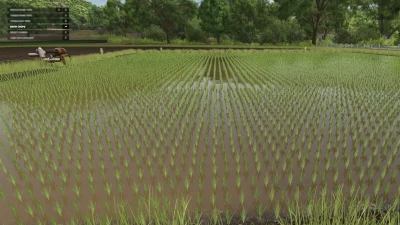 Grow Now v2.0.0.0