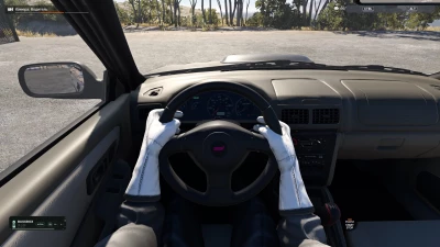 Hands on the Wheel