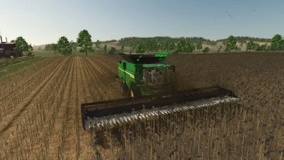 High-resolution texture of cut sunflower v1.2.0.0