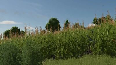 Irrigation System v1.0.0.0
