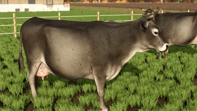 Livestock Flies v1.0.0.0