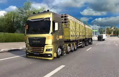MAN TGX 2020 +Rodotrem NOMA Titanium Ets2 v1.0