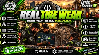 Real Tire Wear v1.6.0.0