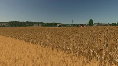 Realistic barley texture v1.0.0.0