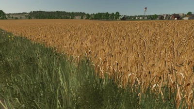 Realistic barley texture v1.0.0.0