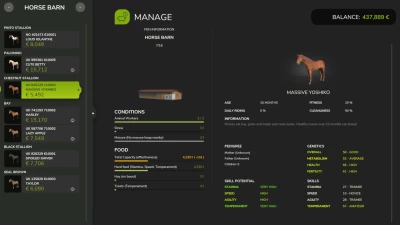 Realistic Equestrian v1.0.0.0