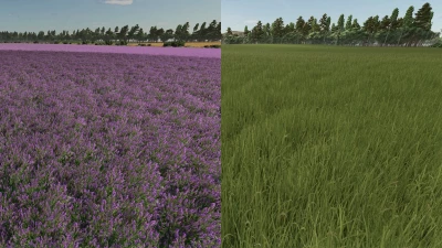 St. Lawrence v1.0.1.1