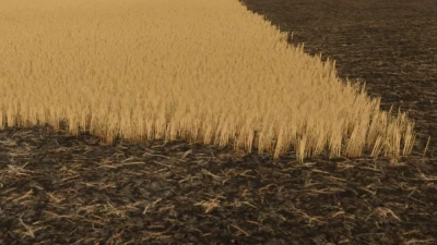 Cut wheat / barley texture v1.0.0.0