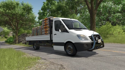 Mercedes-Benz Sprinter v1.0.0.0