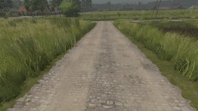 Mud and cobblestone Roads V1.0.0.0