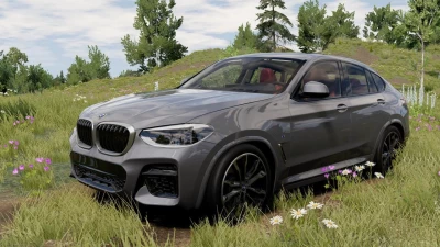 BMW X4 G02 (2018-2025) v0.1 0.38.x