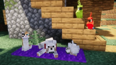 Fresh Animations