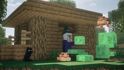 Fresh Animations