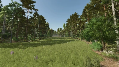 Homestead v1.0.0.2