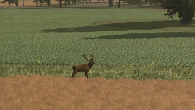 More Wild Animals v1.1.0.0