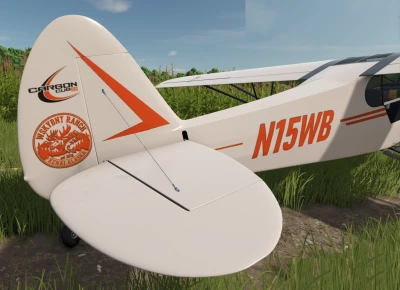 WSKYBNT CARBON CUB v1.0.0.0
