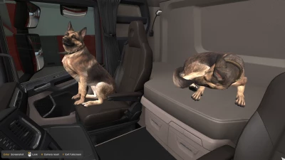 Dog with Animation v1.58