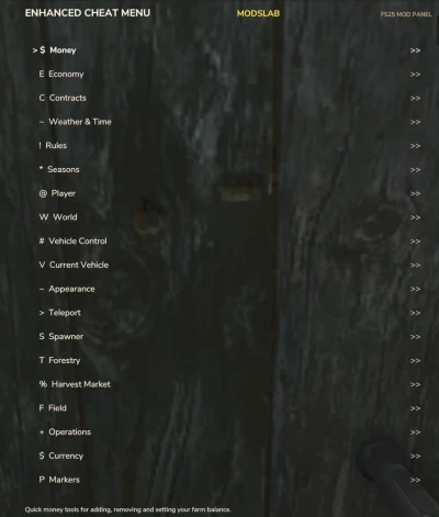 Enhanced Mod / Cheat Menu v1.0