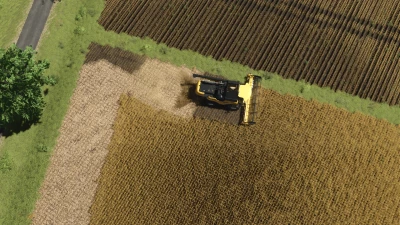 Texura de soja v1.0.0.0