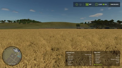 Field Detail Hud Infos v1.0.0.0