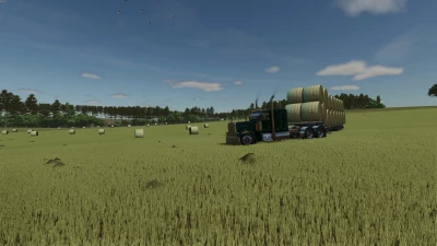 American Flag Net Wrap (Hay Texture) v1.0.0.0
