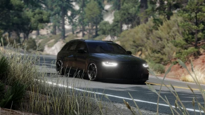 Audi RS4 B8 v1.0