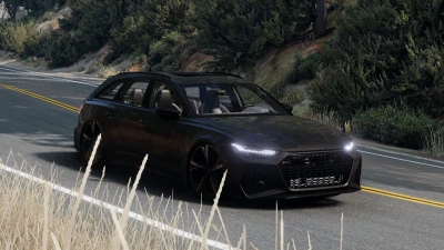 Audi RS6 C8 v1.0