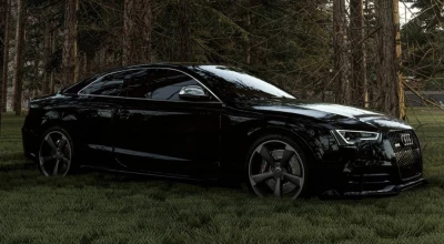 Audi S5, RS5 - B8, B8.5 Gen v2.2