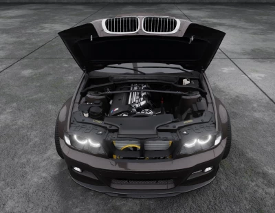 BMW e46 v1.0