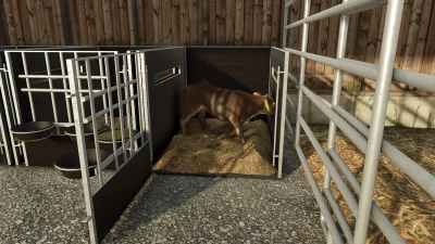 Calf Box v1.0.0.0