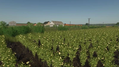 Kotowo Map v1.0.1.2